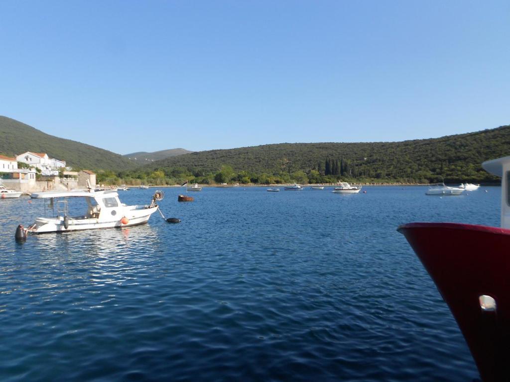 Apartments Vila Lazarevic Τίβατ Εξωτερικό φωτογραφία